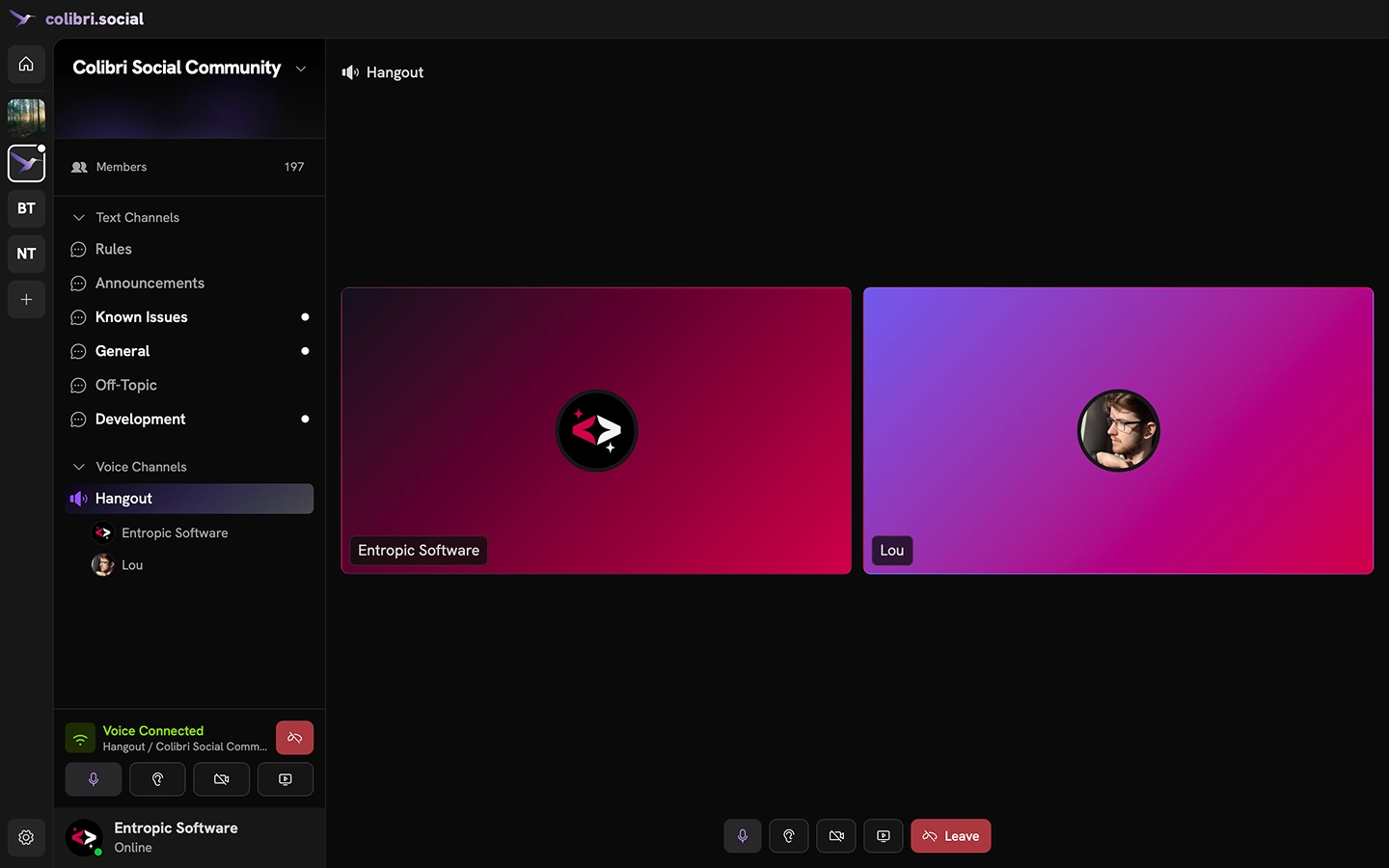 A screenshot of the Colibri App UI, with two users in a VC being shown on screen.